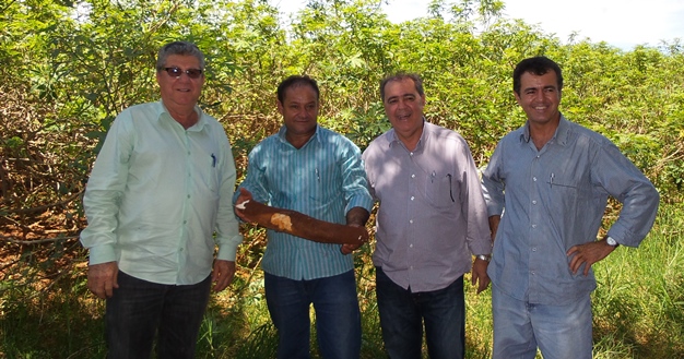 Iniciada plantação de mandioca em programa da agricultura familiar