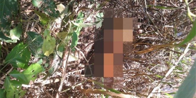 Encontrado o corpo de uma mulher que estava desaparecida, há duas semanas, em Morrinhos!!! Encontrado o corpo de uma mulher que estava desaparecida, há duas semanas, em Morrinhos!!!