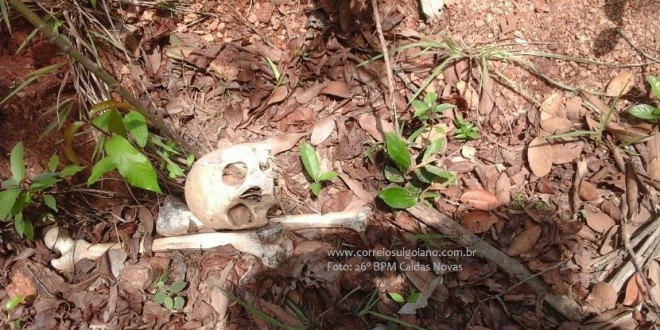 Operários encontram ossada humana em obra de recuperação de rodovia próximo a Caldas Novas