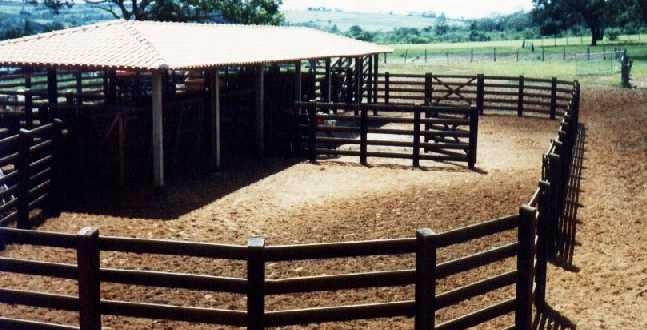 Suicídio: Homem é encontrado morto no curral da fazenda onde trabalhava no município de Morrinhos