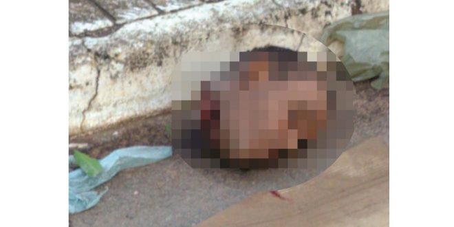 DECAPITADO: Identificada a cabeça de um homem, encontrada frente a um shopping de Goiânia
