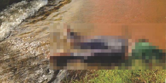 Homem é encontrado morto em fazenda no município de Professor Jamil. Corpo estava junto a um córrego! Homem é encontrado morto em fazenda no município de Professor Jamil. Corpo estava junto a um córrego!