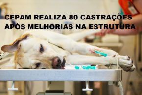 Centro de Proteção Animal – CEPAM de Morrinhos já realizou cerca de 80 castrações após adequações em sua sede Centro de Proteção Animal – CEPAM de Morrinhos já realizou cerca de 80 castrações após adequações em sua sede