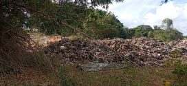 Prefeitura de Morrinhos embarga atividades de empresa por irregularidades ambientais na zona rural