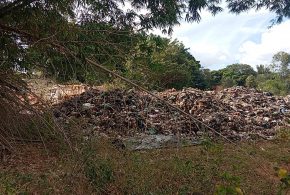 Prefeitura de Morrinhos embarga atividades de empresa por irregularidades ambientais na zona rural