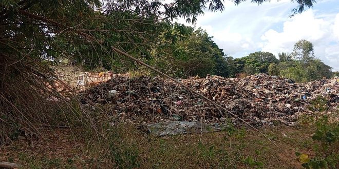 Prefeitura de Morrinhos embarga atividades de empresa por irregularidades ambientais na zona rural