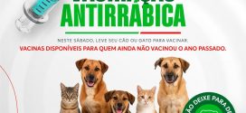 Vacinação antirrábica para animais que ainda não foram imunizados em 2025 acontece neste sábado em Morrinhos