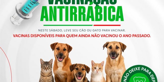 Vacinação antirrábica para animais que ainda não foram imunizados em 2025 acontece neste sábado em Morrinhos