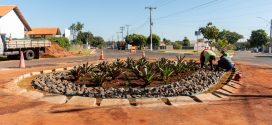 Morrinhos transforma infraestrutura em solução inteligente: Jardim de Chuva melhora drenagem, valoriza a cidade e prepara o futuro