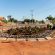 Morrinhos transforma infraestrutura em solução inteligente: Jardim de Chuva melhora drenagem, valoriza a cidade e prepara o futuro