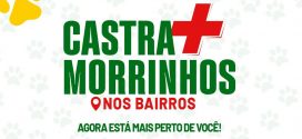 Maior programa de castração da história de Morrinhos ganha as ruas e Castramóvel inicia atendimento nos bairros