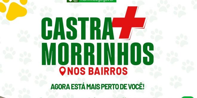 Maior programa de castração da história de Morrinhos ganha as ruas e Castramóvel inicia atendimento nos bairros
