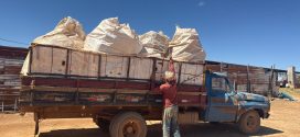 Agrodefesa apreende 5 toneladas de embalagens e papelão de agrotóxicos em Vianópolis: Material apreendido foi encaminhado ao posto de recebimento autorizado no município