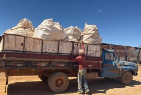 Agrodefesa apreende 5 toneladas de embalagens e papelão de agrotóxicos em Vianópolis: Material apreendido foi encaminhado ao posto de recebimento autorizado no município