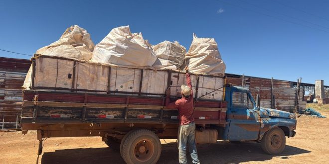 Agrodefesa apreende 5 toneladas de embalagens e papelão de agrotóxicos em Vianópolis: Material apreendido foi encaminhado ao posto de recebimento autorizado no município